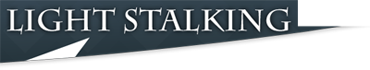 Light Stalking Logo